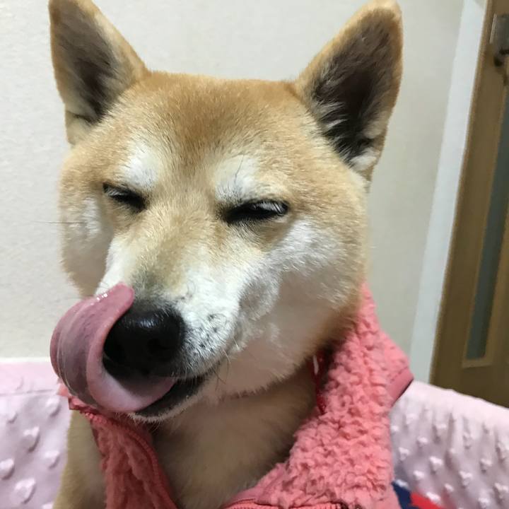 92fb87e0 203d 4e59 849b fe628e629fb6 1517048416249