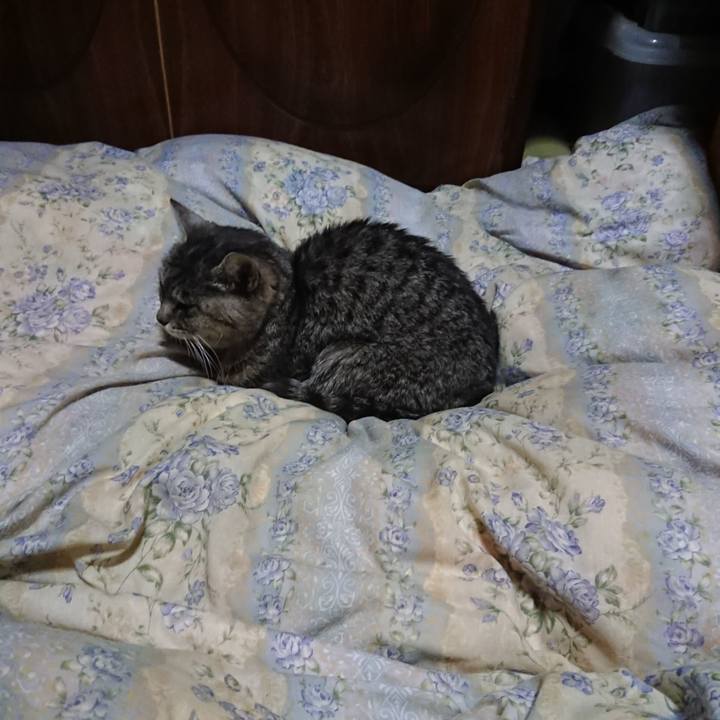 92fb9007 05c3 44a5 808c c3496e7c58e7 1578571507782