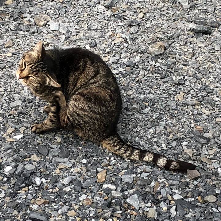 92fbc184 1870 49a0 9251 2789e96619ae 1527498149348