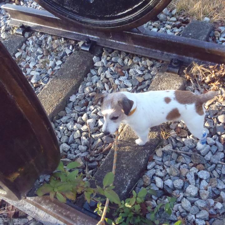 92fbc334 5b92 4390 bc72 e63323e48e8a 1543747027436