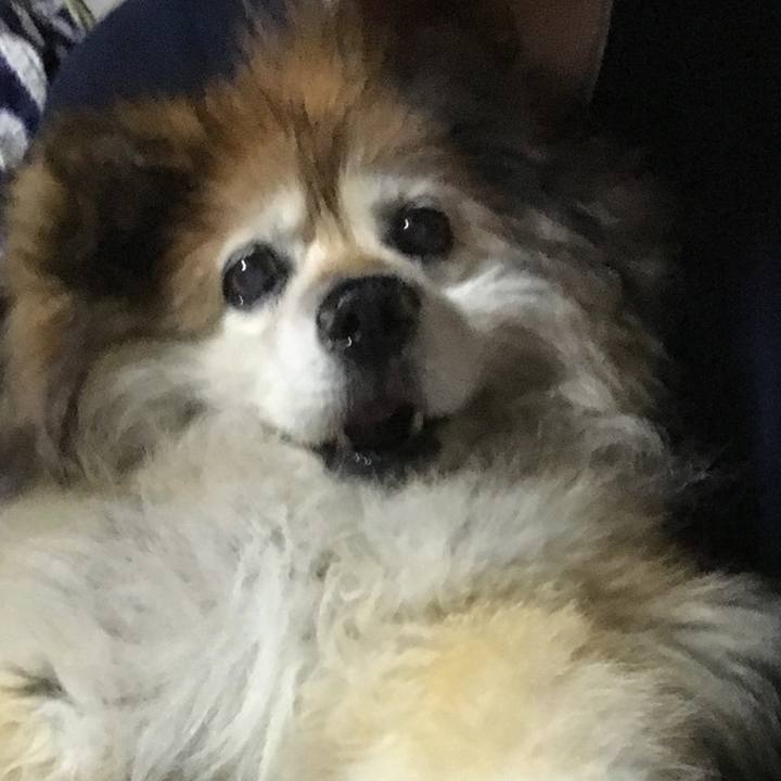 92fbff8b 10ff 4af2 bb8c 3bb65245447c 1579051070509