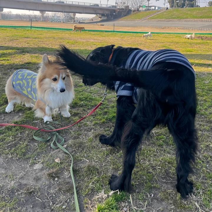 92fc2517 ae92 4d13 ad83 720e6d4e395a 1768649192986