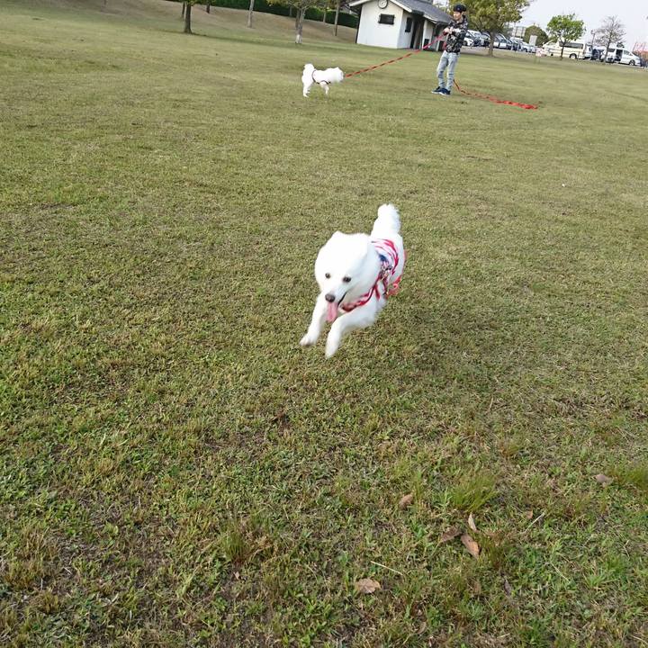 92fc48fd fe0b 4d25 b0bd 15b123697405 1555833753959