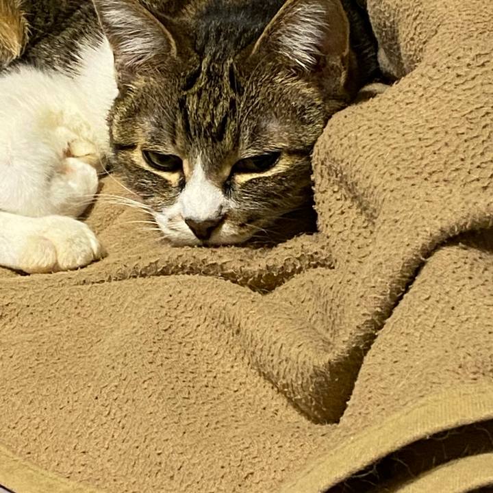 92fc5b6c a33c 43b1 b7b3 bb6e4f67a39b 1620747570014