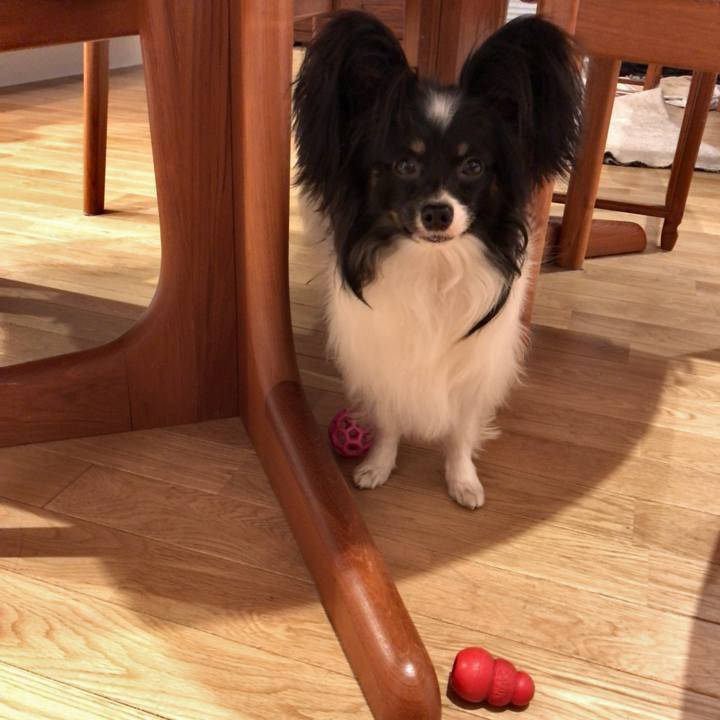 92fc6926 f215 4173 bd73 b68fffc8a1a7 1518260415562