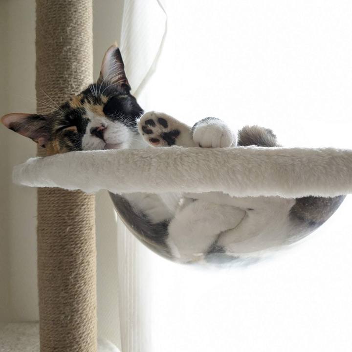 92fc91f3 5c61 4c44 a2e5 788dc54371ab 1687751882687