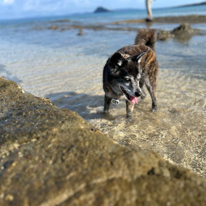 92fcb5b6 8337 452d 9c7b 17ad2237d275 1751839934207