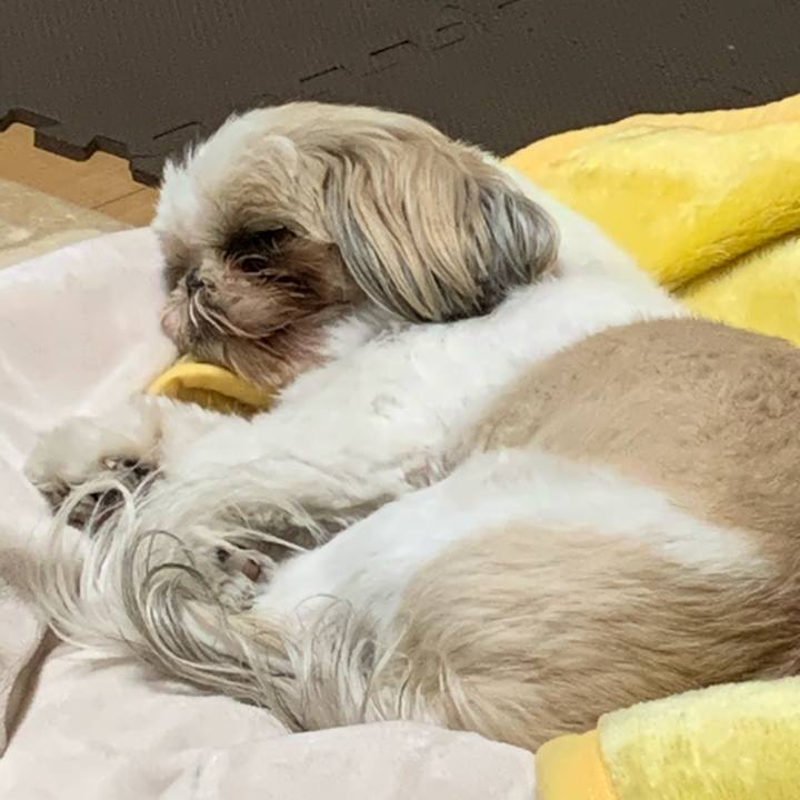 92fcba77 d79b 4233 9618 114cf12eb5c8 1589033782508