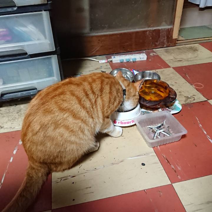 92fcd64c aaa1 4961 863b aa38eda90237 1596193377131