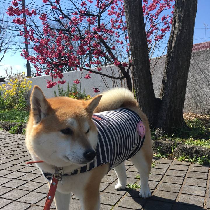 92fcf739 763f 4d4d a126 27fcbe192ecc 1552530535304