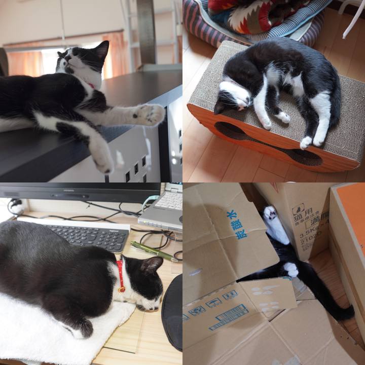 92fcfb90 9cc5 41aa 8606 30813a44fe9a 1593178887266