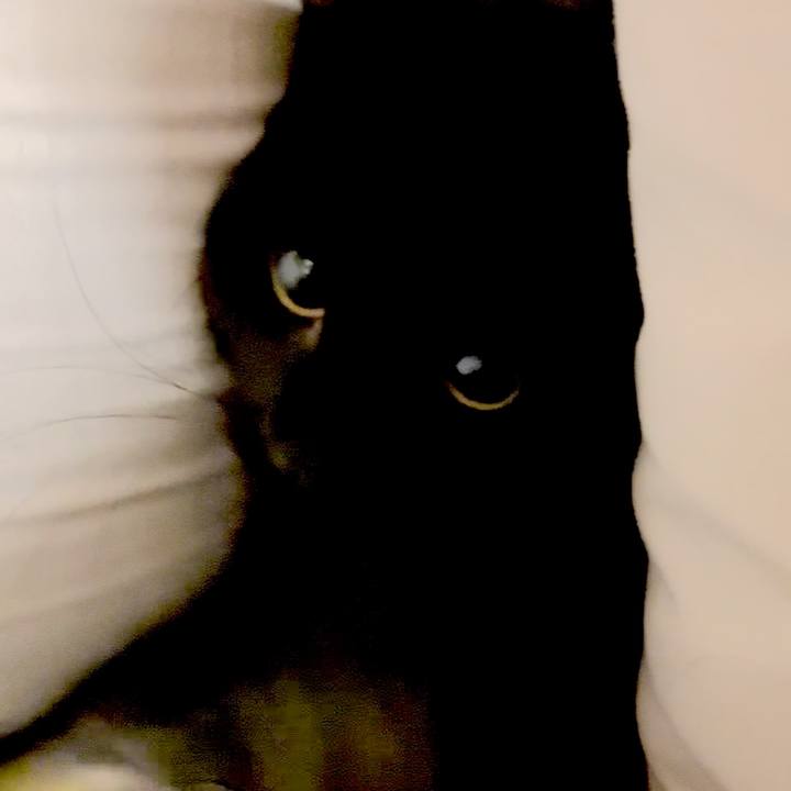 92fd1a63 d00e 4eaa 9955 4bb192cc1608 1754314454644