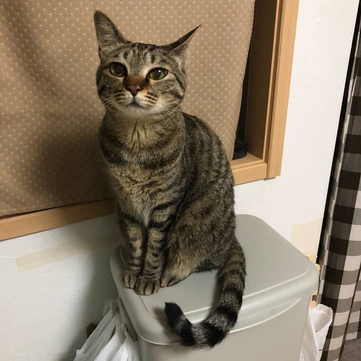 92fd2716 428d 42fc 8b0d d9388a605d85 1527795352794