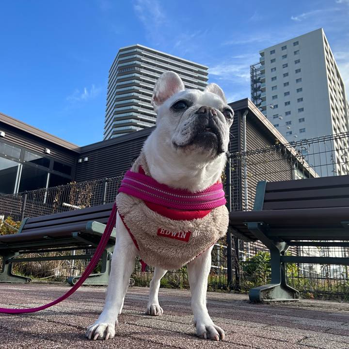 92fd61cf 0f73 4713 8e60 e4251c316390 1705928696438