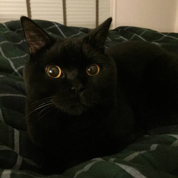 92fd64a7 0dc4 4848 b6dc 2de54a0cc893 1511698860372