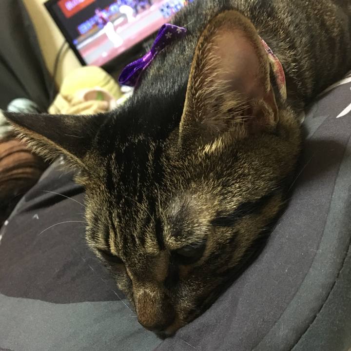 92fd752c cc45 4822 b376 040f5b47da50 1566649169556