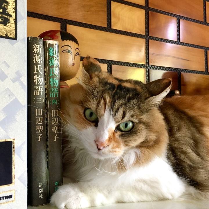 92fd76a8 7469 401e b8d3 90cc2cca83d4 1591256757656