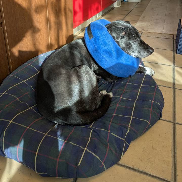 92fdaf23 9e1d 4c83 ba9c c036fd6ac098 1768474921937