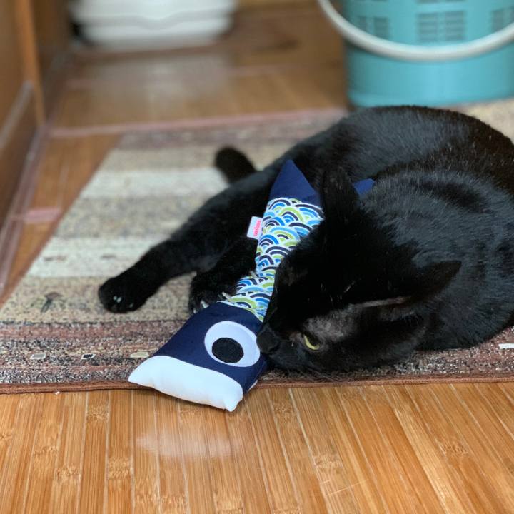 92fdc8c8 bba6 4bf4 b352 63eaf4225189 1588641815850