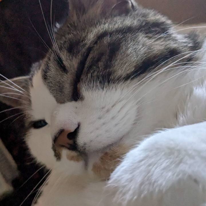 92fdd869 6ca5 45b1 b1b3 6f3786ff64c2 1744415358795