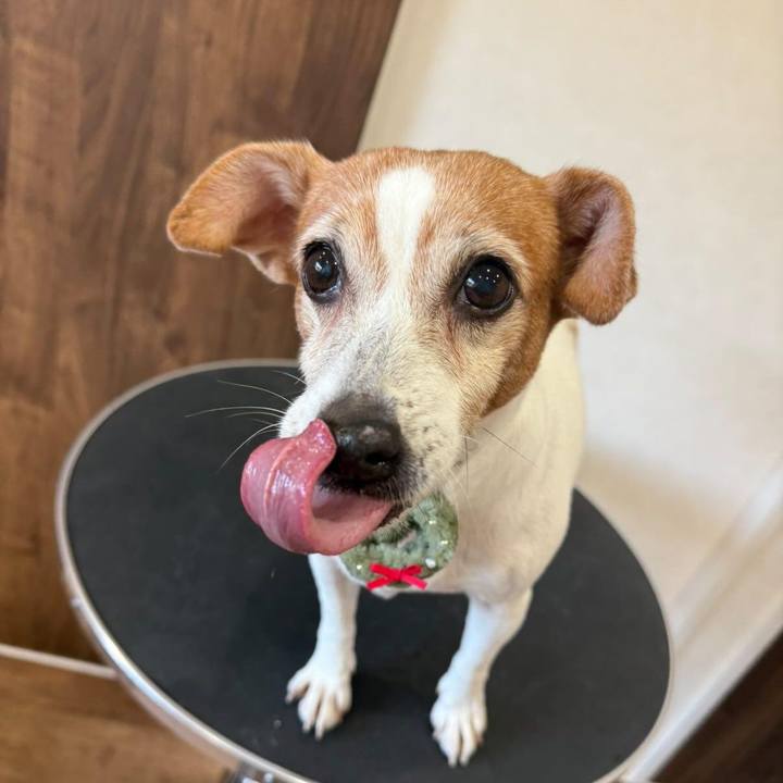 92fdd9d6 6abd 4716 9b6f 39a819ff893c 1763944970177