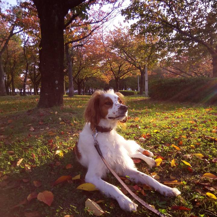 92fded74 e4aa 44c3 99b0 af497cefc953 1509956040756