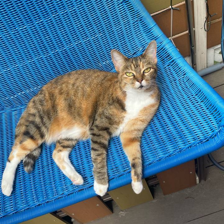 92fdf447 b546 4072 ac8d d5b33655afa7 1627540938862