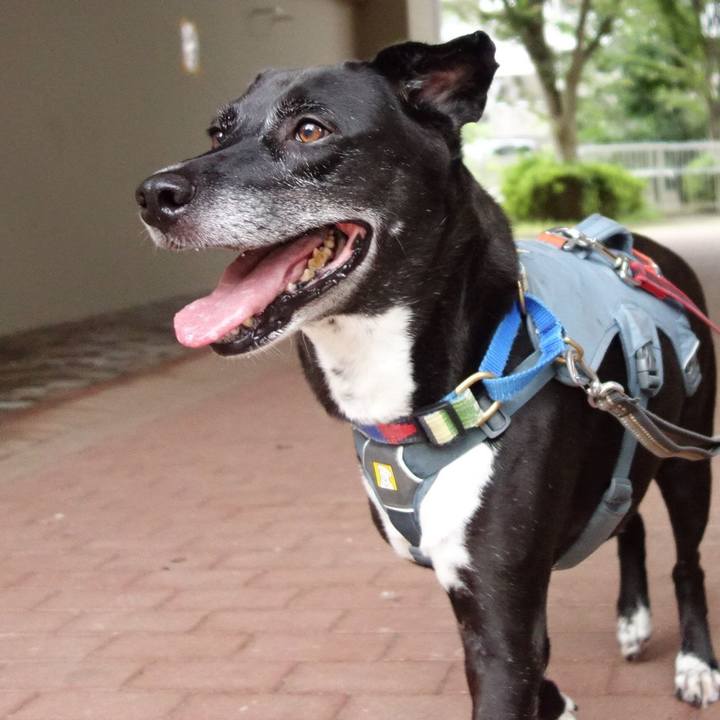 92fe2d04 29df 4016 9dd6 cf917c1205cd 1725322592820