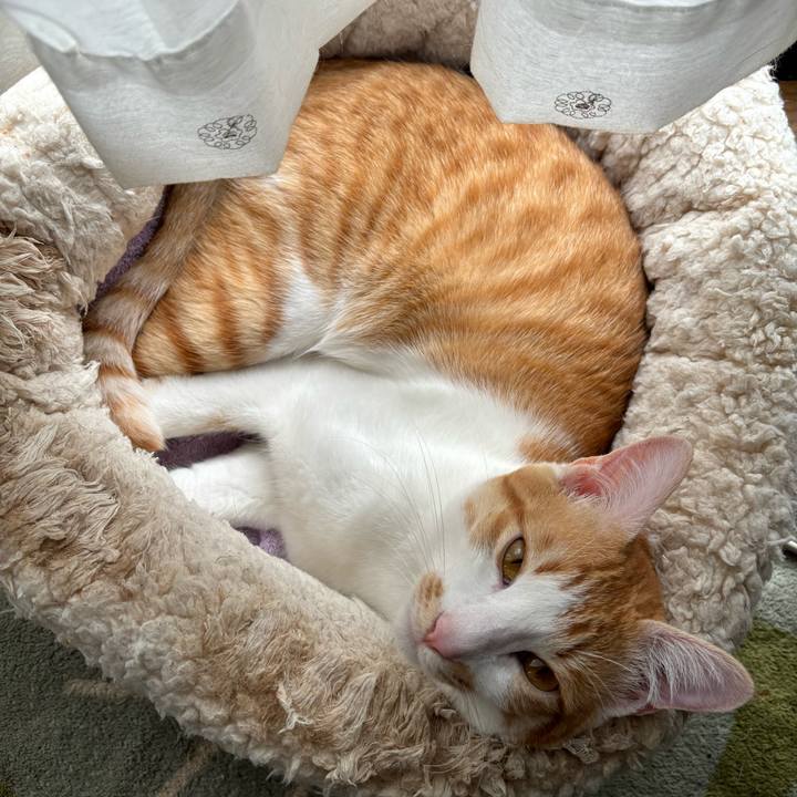 92fe3525 177b 4188 9df6 ee8297008dc3 1713760549841