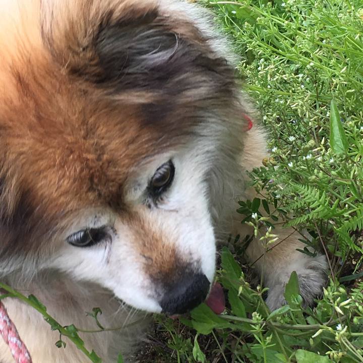 92feeb43 7049 4268 8363 53330701d76c 1598328498202