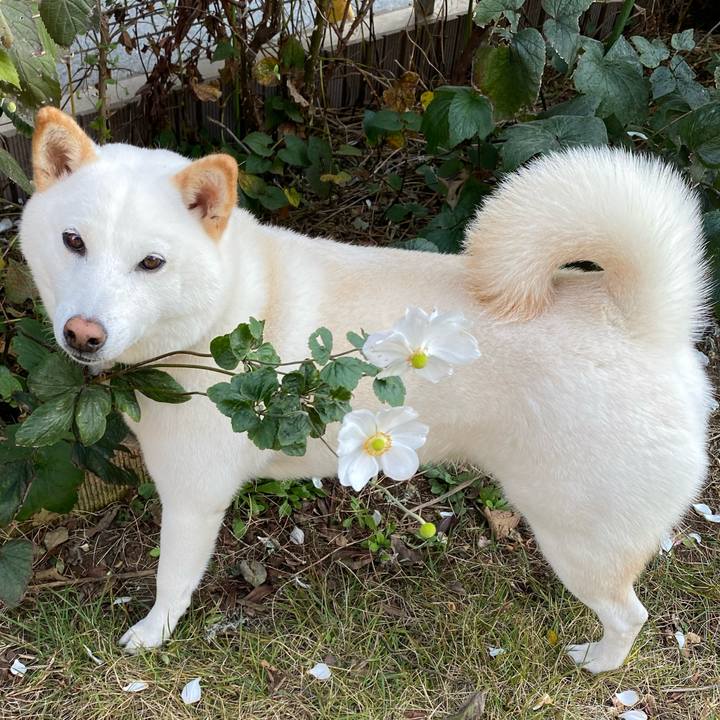 92ff1898 ac6a 4feb 8b29 55ae4c650758 1668172267207