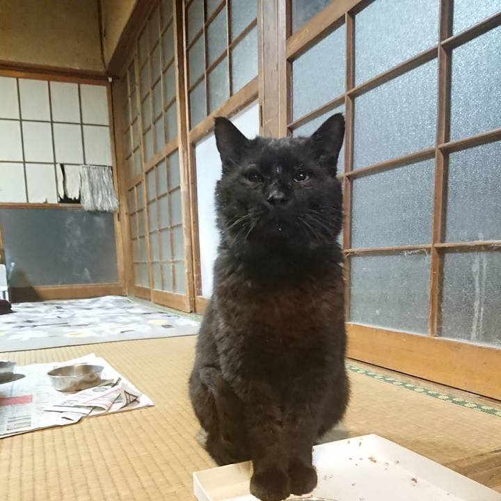 92ff64ec 95e0 4eda bad0 8b1a0da4426f 1618927993082