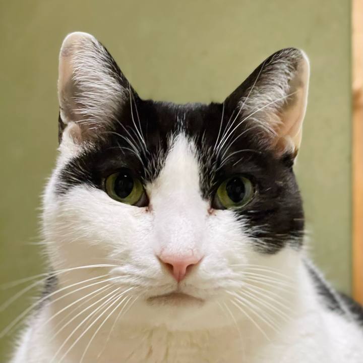 92ff7044 9cb0 49eb 9fe4 f7b6944a396e 1643684385770