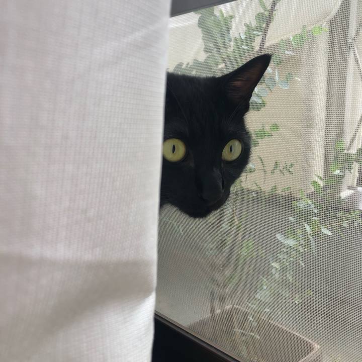 92ff9293 d7da 4d0e afd7 d43826f7d0f2 1563683187690