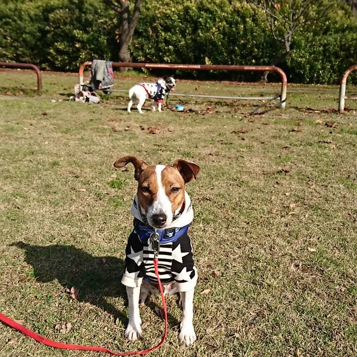 92ffa53d b59d 451c bb46 e7fe930675bc 1543632935139