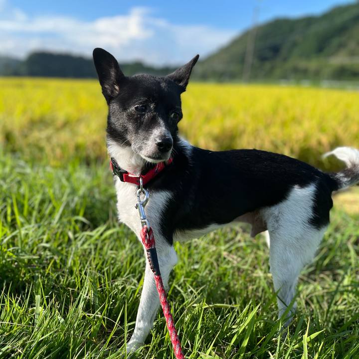 92ffaed6 dd77 404b a038 6931f72d8945 1661816275843