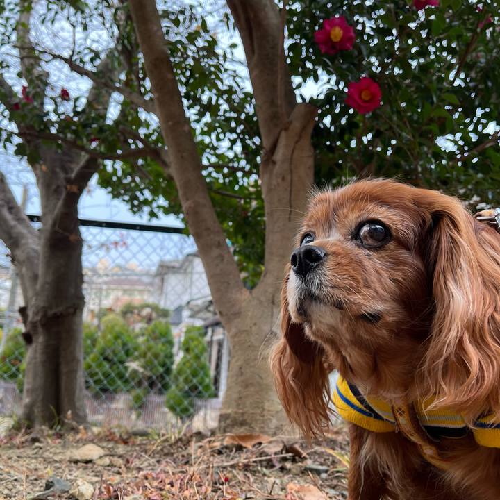 92ffbb19 1543 4ed2 be11 d4206e0c36e0 1735522252633