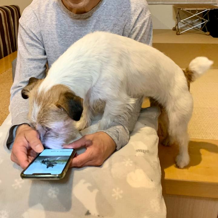 92ffbd90 5067 4d80 914e bcfc88ae12ad 1620897393493