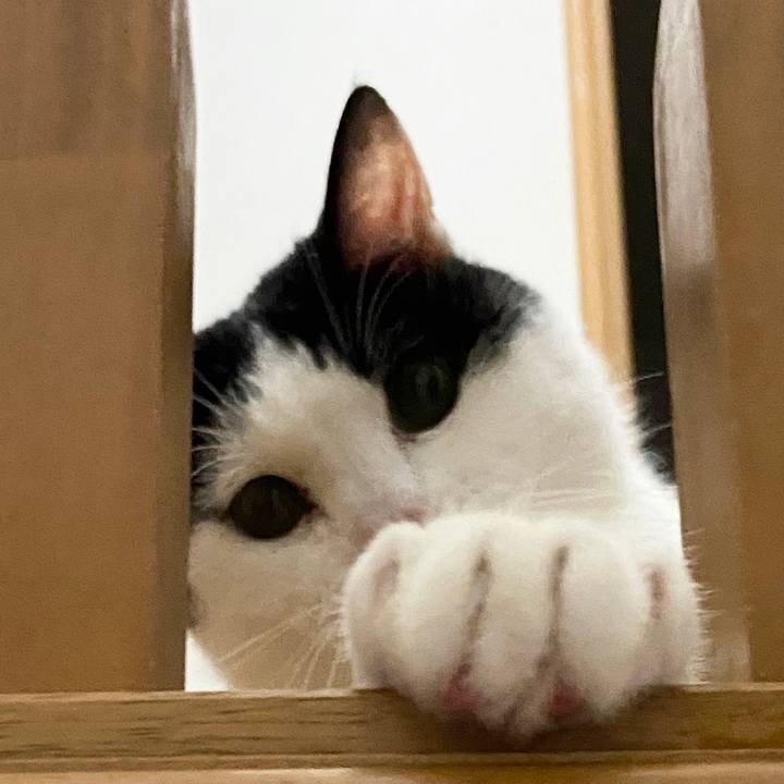 92ffc850 7850 4184 802e 115dbdfb8941 1593778169552