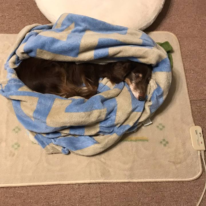 92ffd384 a3da 4fa1 8d5e 97d1f406d204 1574510115799