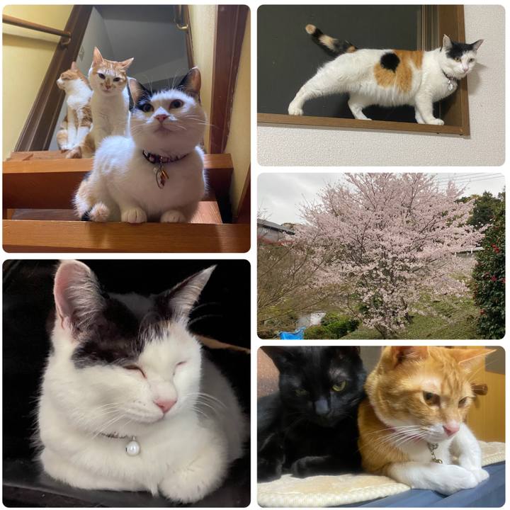 92ffd75b 17f6 4996 ab25 107025e0620c 1648760458808