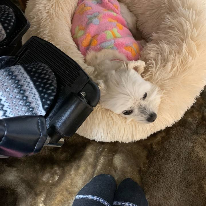 92ffeeee a33e 4b6f 90b0 9d38619b2e55 1642585556640