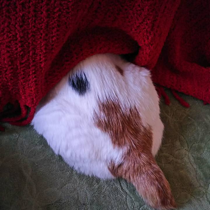 93001504 880a 4b34 9c7b 07c69016ef5e 1508966387214