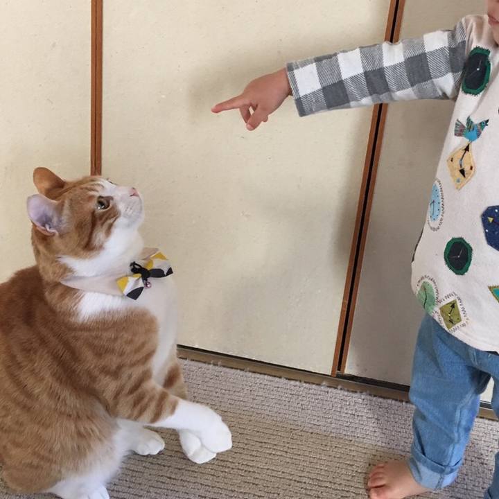 9300304d 3a87 4cf4 9281 da3eab07c6c8 1555557969864