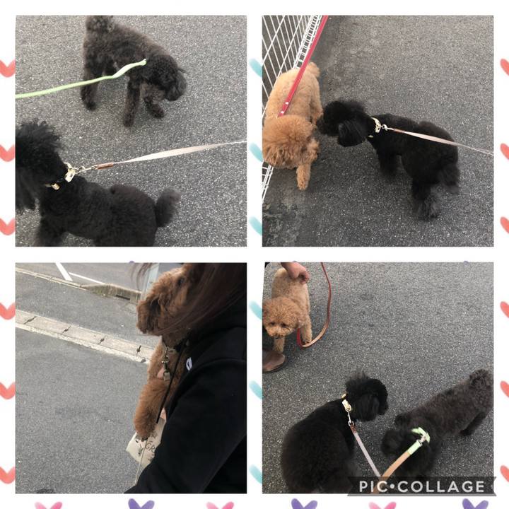 93004cf0 0f15 4c4a 920b b1f52b420dab 1604297448639