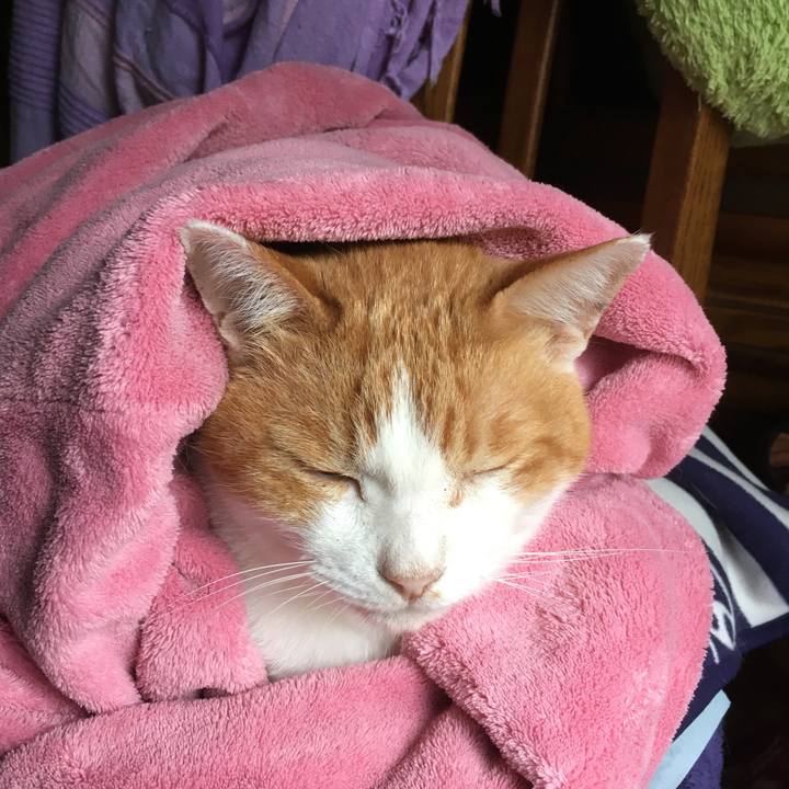 93005197 13c2 4e11 a5f8 d4856c8fcd06 1571396880995