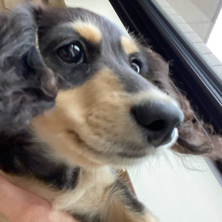 93005257 e7c8 4282 9650 050eafdc31d4 1669096266654