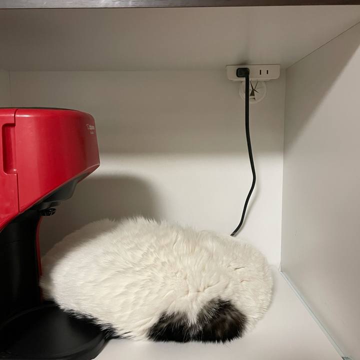 9300a5bc a4b4 42dd 85a8 33b4f3110136 1620914105437