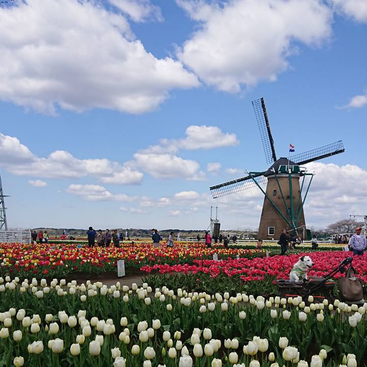 9300a6bc 20f1 40d8 951d 45d795fae075 1554811907586