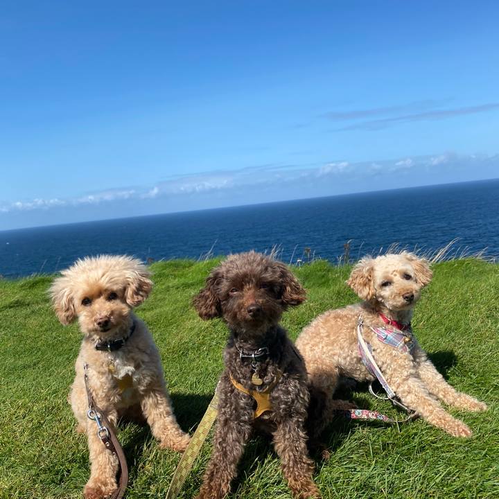 9300b755 1fe5 4e04 b41b 4d9794f79348 1692736957337